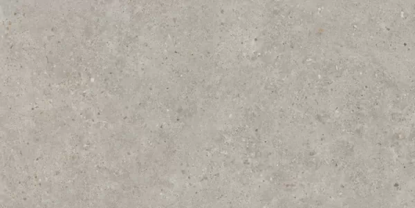 Керамогранит Kerama Marazzi SG519920R Риккарди серый светлый матовый обрезной 60х119.5 детально